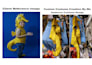 make custom animi cosplay and mascot costume professionally